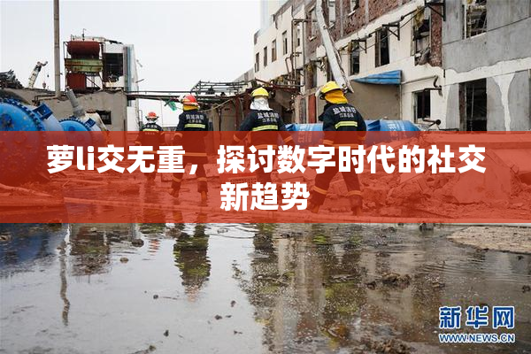 萝li交无重，探讨数字时代的社交新趋势
