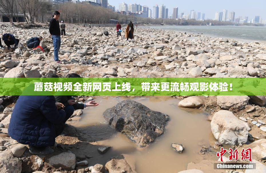 蘑菇视频全新网页上线，带来更流畅观影体验！
