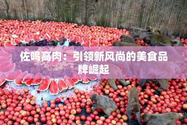 佐鸣高肉：引领新风尚的美食品牌崛起