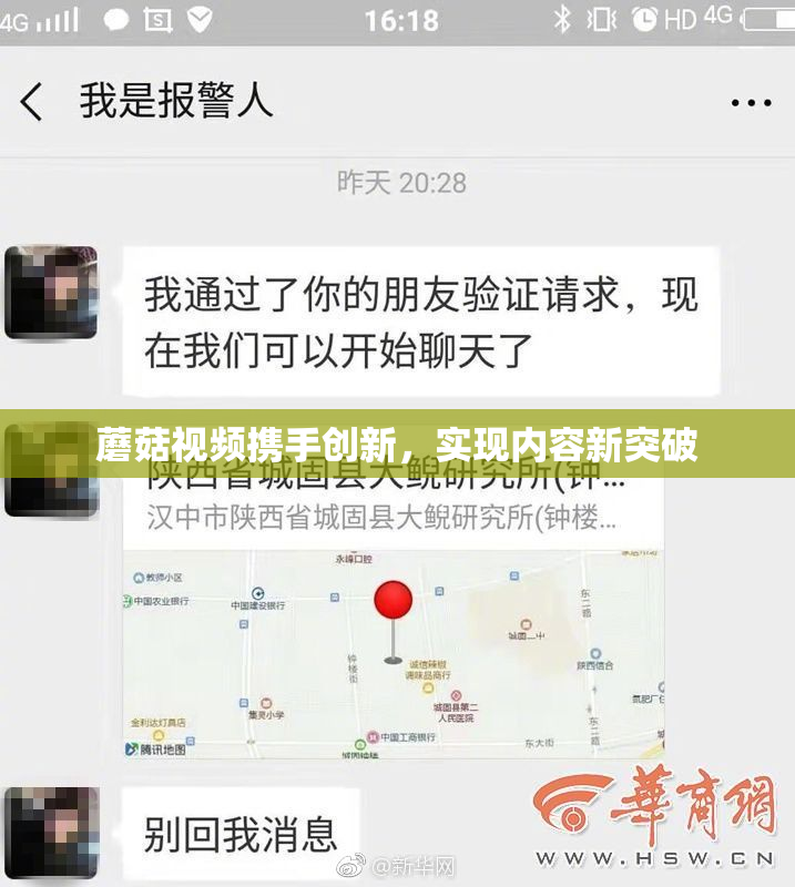蘑菇视频携手创新，实现内容新突破