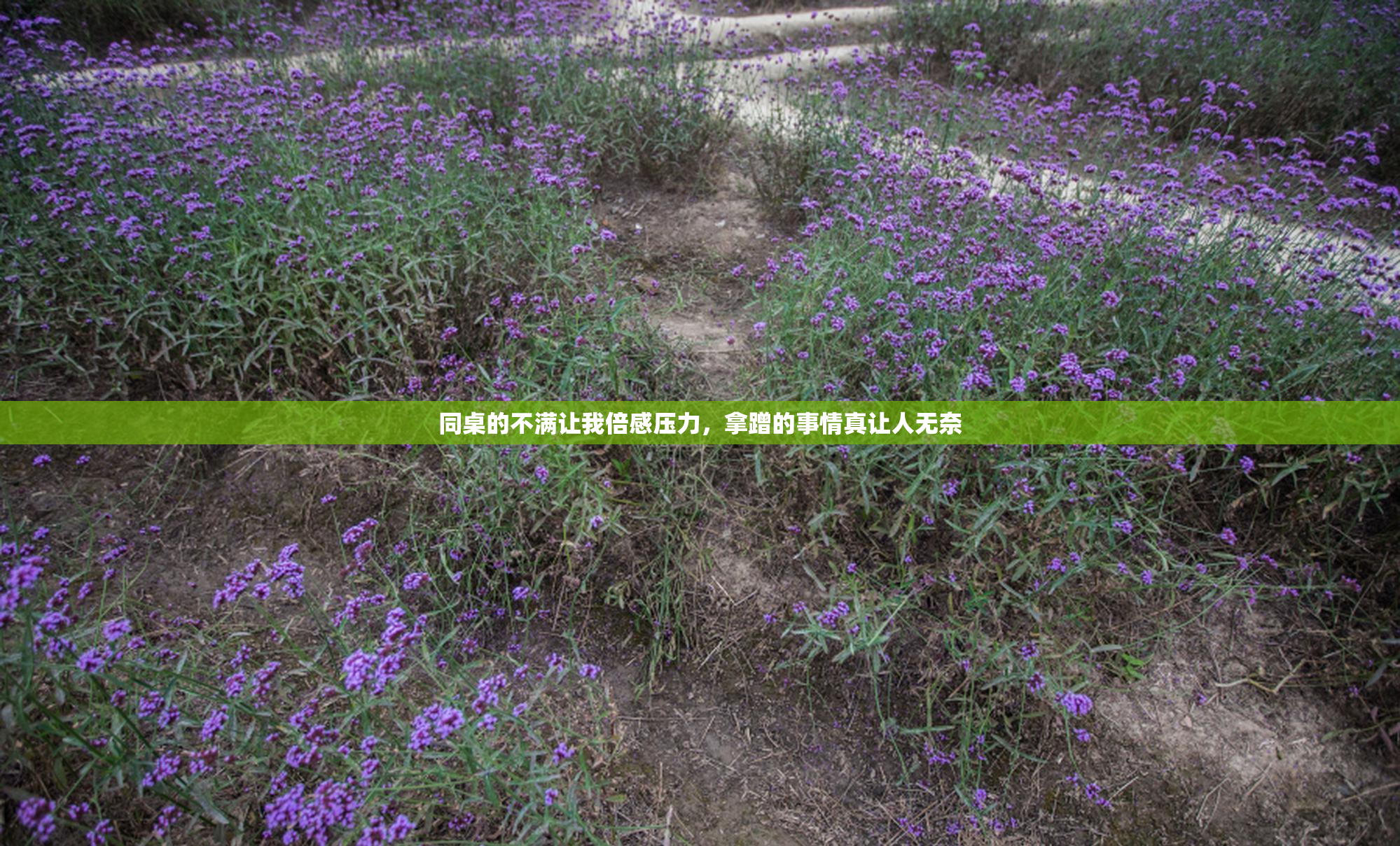 同桌的不满让我倍感压力，拿蹭的事情真让人无奈