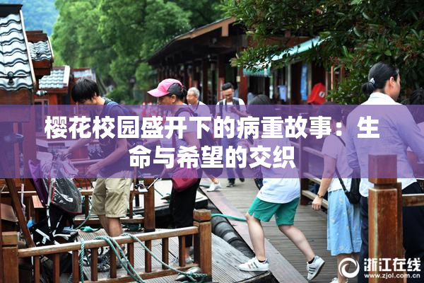樱花校园盛开下的病重故事：生命与希望的交织