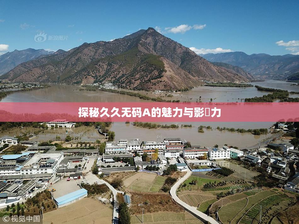 探秘久久无码A的魅力与影響力