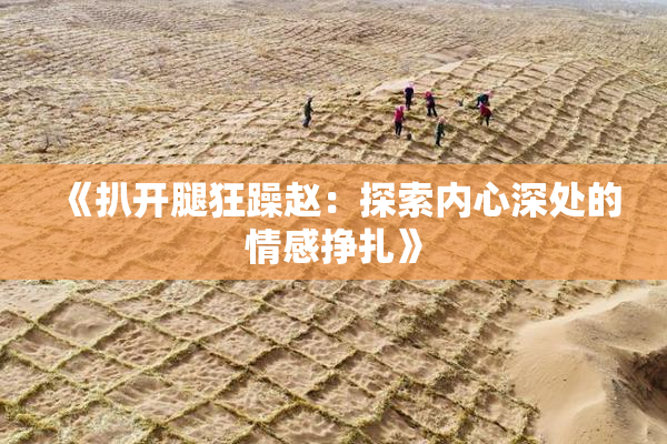 《扒开腿狂躁赵：探索内心深处的情感挣扎》
