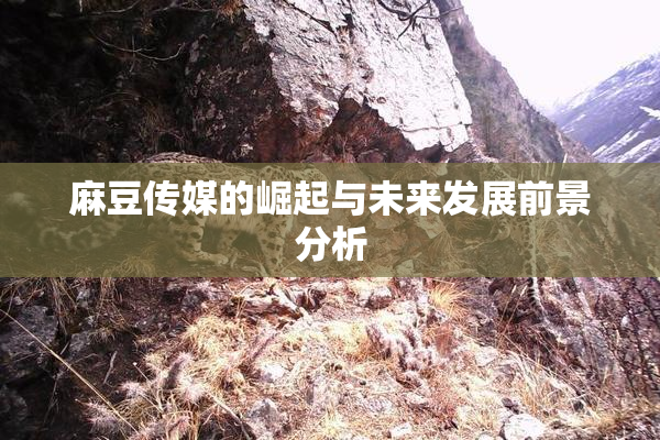 麻豆传媒的崛起与未来发展前景分析