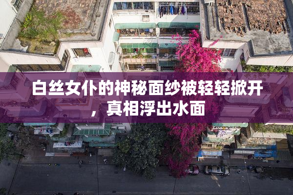 白丝女仆的神秘面纱被轻轻掀开，真相浮出水面