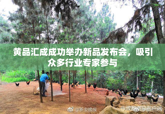 黄品汇成成功举办新品发布会，吸引众多行业专家参与