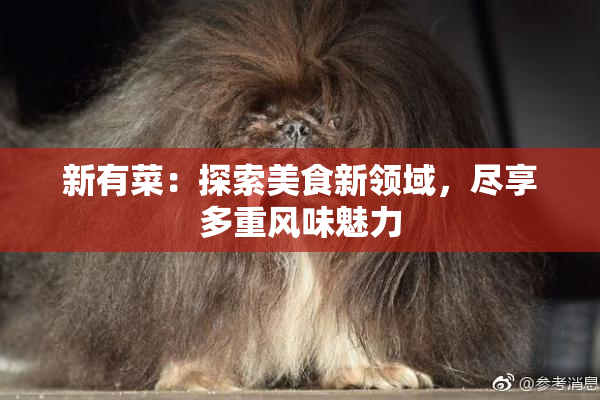 新有菜：探索美食新领域，尽享多重风味魅力