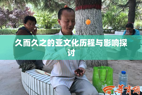 久而久之的亚文化历程与影响探讨