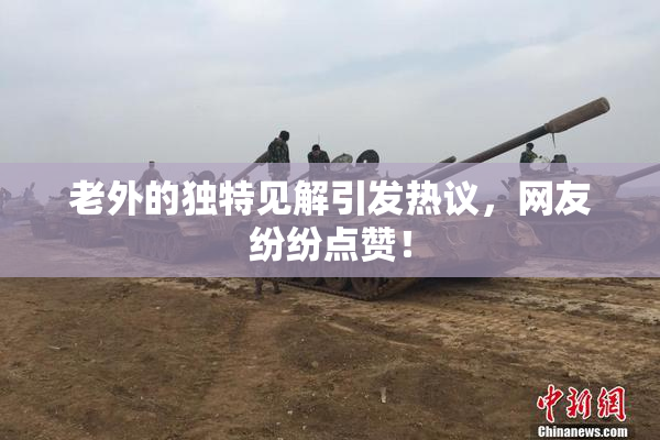 老外的独特见解引发热议，网友纷纷点赞！