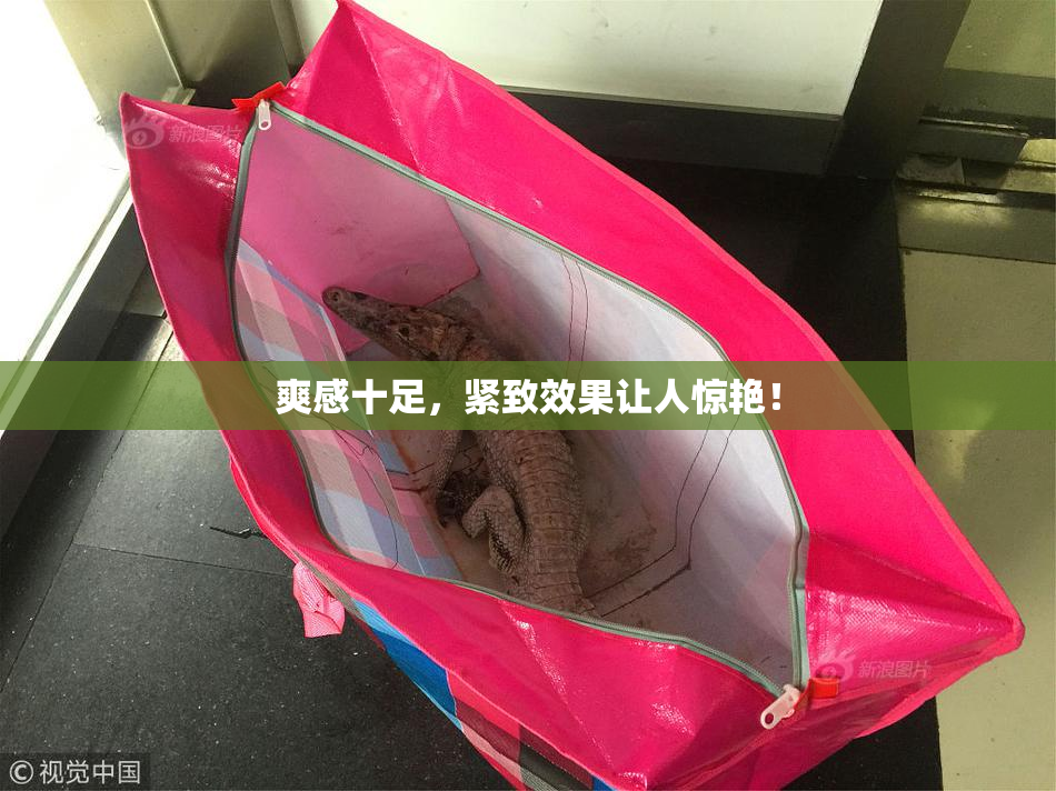 爽感十足，紧致效果让人惊艳！