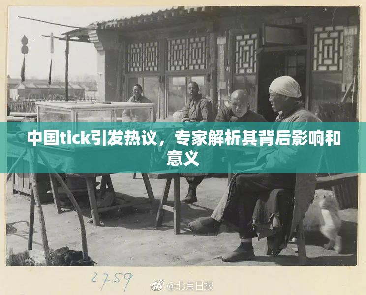 中国tick引发热议，专家解析其背后影响和意义