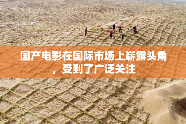 国产电影在国际市场上崭露头角，受到了广泛关注