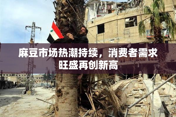 麻豆市场热潮持续，消费者需求旺盛再创新高