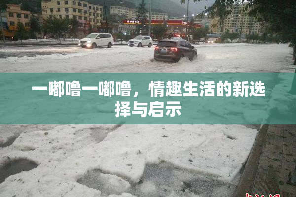 一嘟噜一嘟噜，情趣生活的新选择与启示