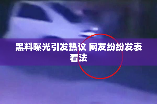 黑料曝光引发热议 网友纷纷发表看法