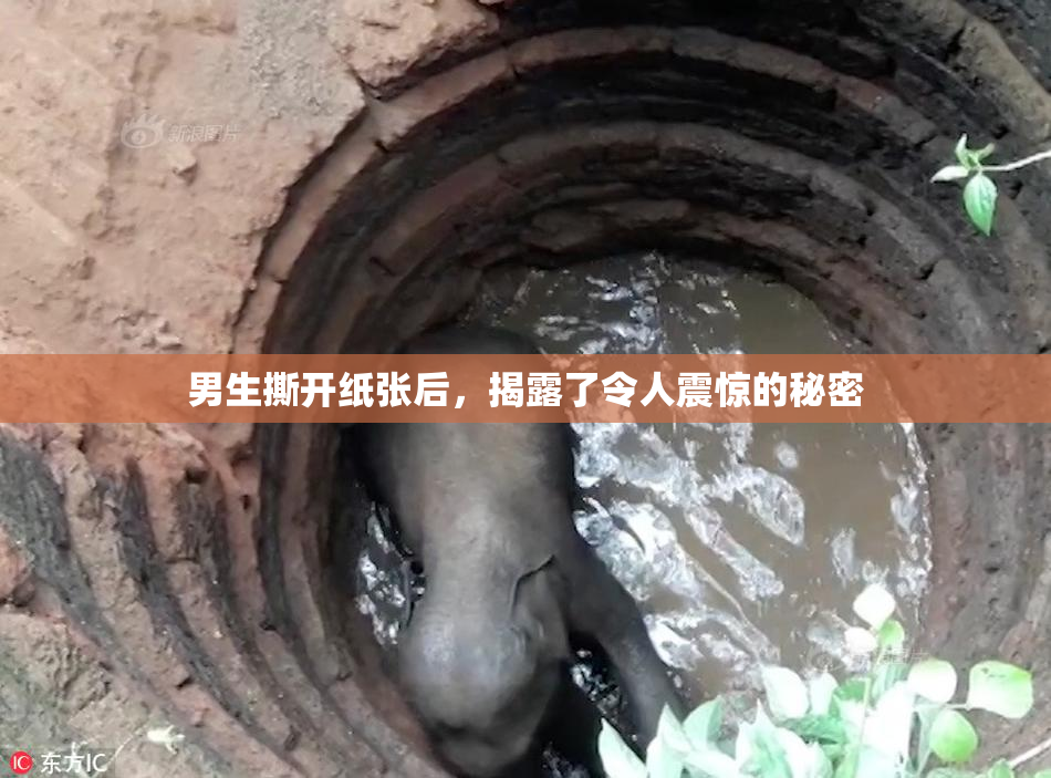 男生撕开纸张后，揭露了令人震惊的秘密