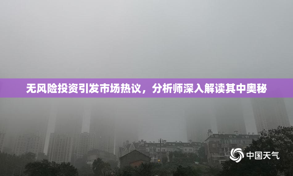 无风险投资引发市场热议，分析师深入解读其中奥秘