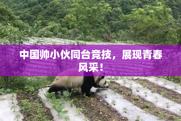 中国帅小伙同台竞技，展现青春风采！