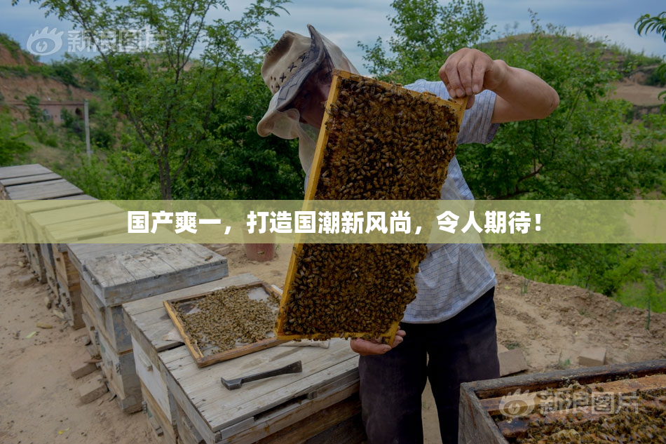 国产爽一，打造国潮新风尚，令人期待！