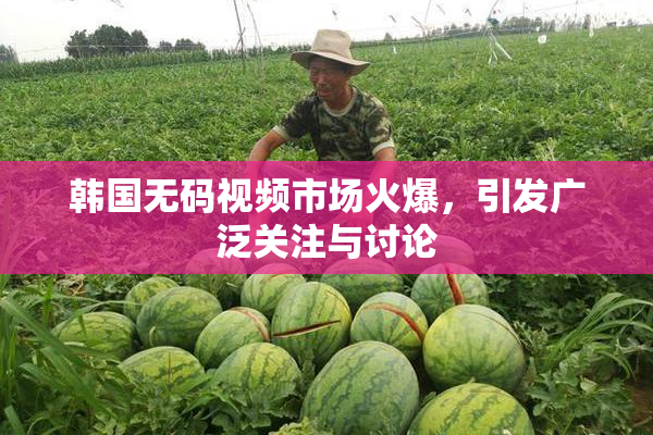 韩国无码视频市场火爆，引发广泛关注与讨论