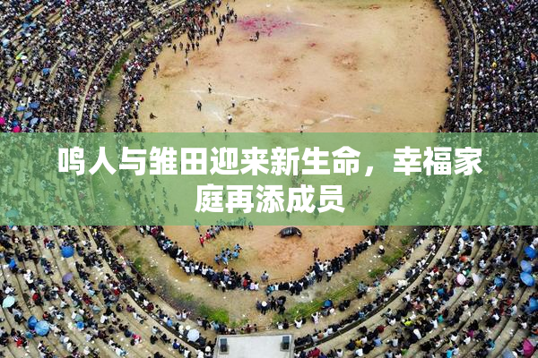 鸣人与雏田迎来新生命，幸福家庭再添成员