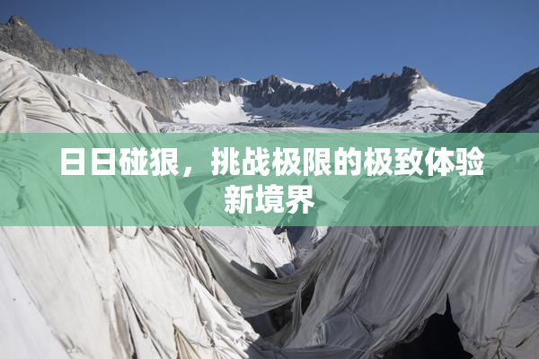 日日碰狠，挑战极限的极致体验新境界