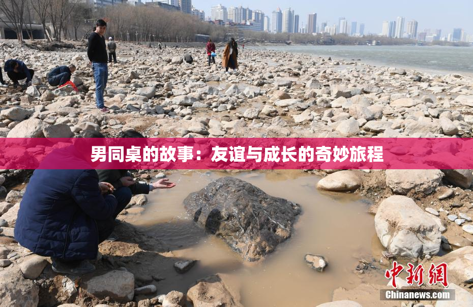 男同桌的故事：友谊与成长的奇妙旅程