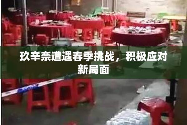 玖辛奈遭遇春季挑战，积极应对新局面