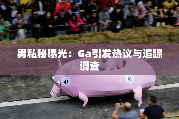 男私秘曝光：Ga引发热议与追踪调查