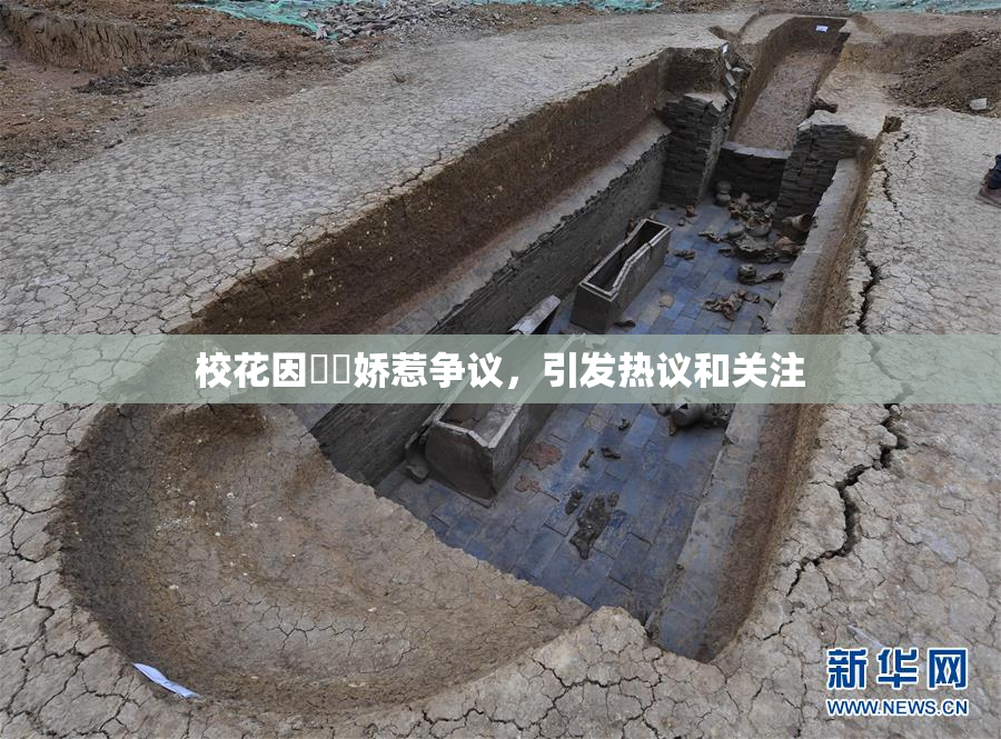 校花因❌‌娇惹争议，引发热议和关注