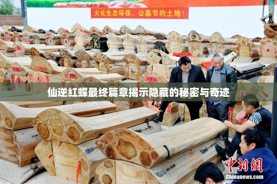 仙逆红蝶最终篇章揭示隐藏的秘密与奇迹
