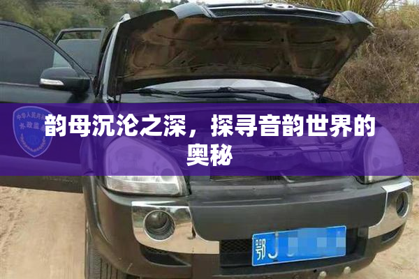 韵母沉沦之深，探寻音韵世界的奥秘