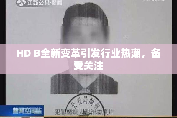 HD B全新变革引发行业热潮，备受关注