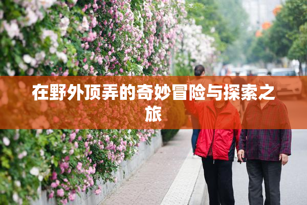 在野外顶弄的奇妙冒险与探索之旅