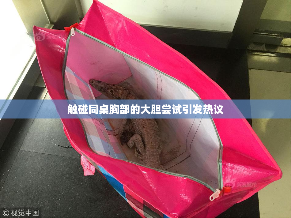 触碰同桌胸部的大胆尝试引发热议