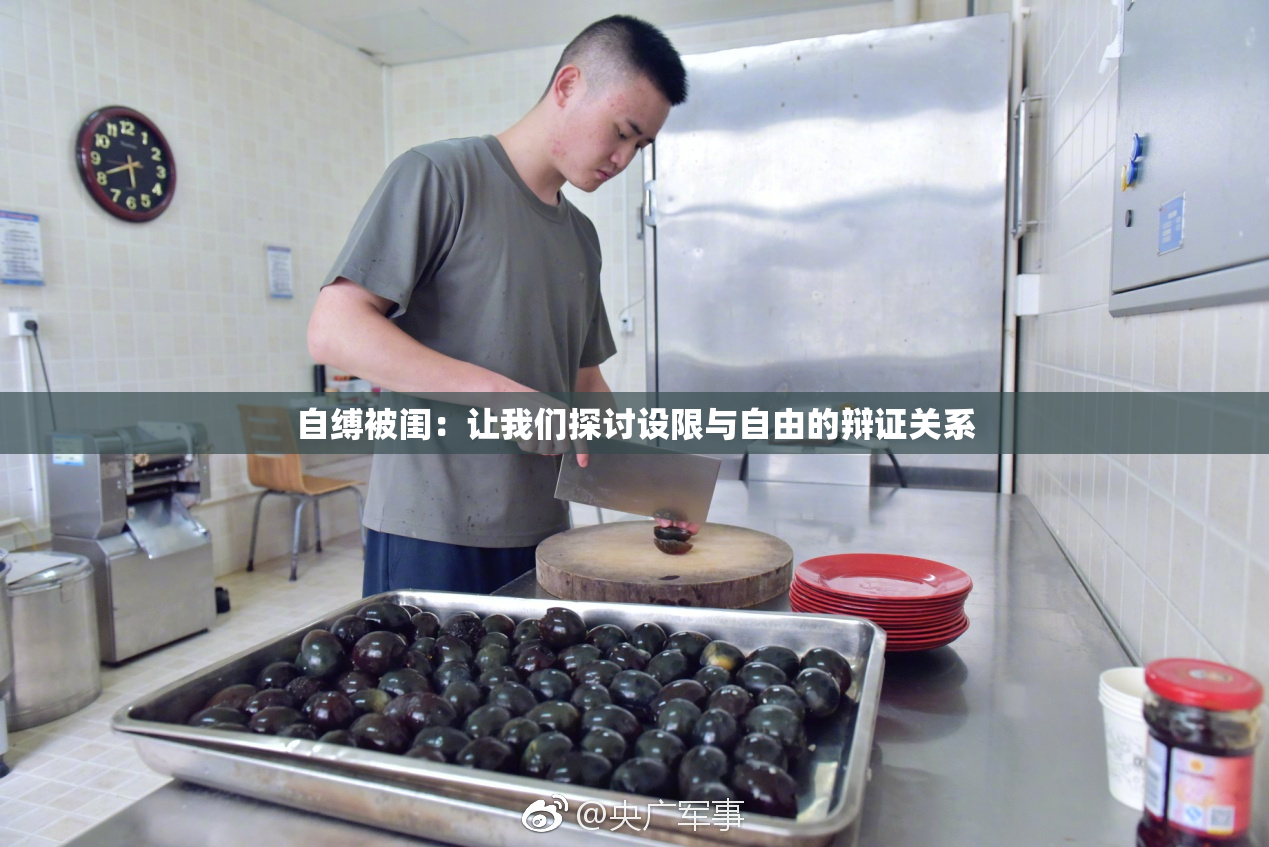 自缚被闺：让我们探讨设限与自由的辩证关系