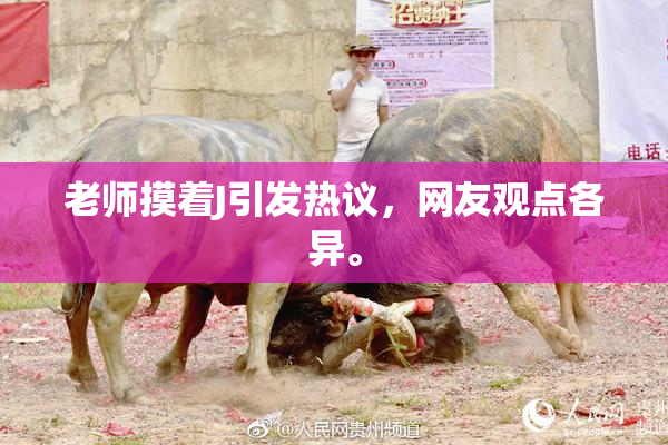 老师摸着J引发热议，网友观点各异。