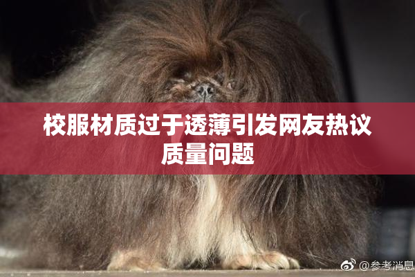 校服材质过于透薄引发网友热议质量问题