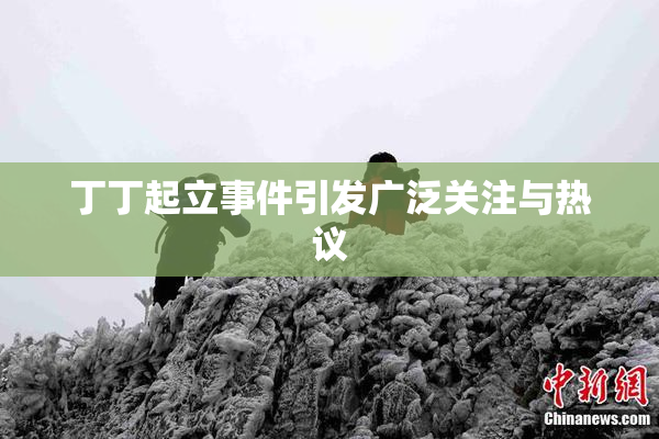 丁丁起立事件引发广泛关注与热议
