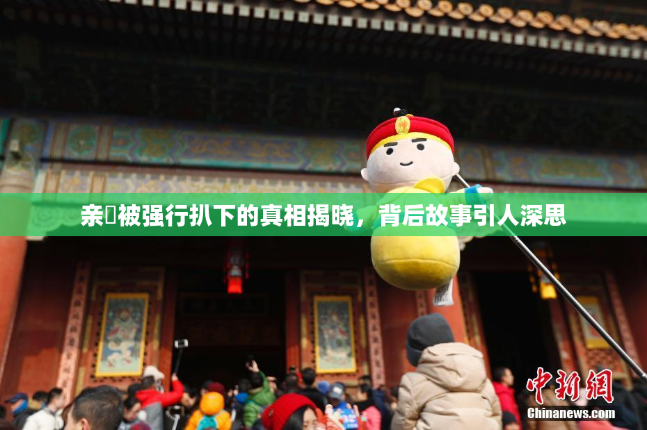 亲妺被强行扒下的真相揭晓，背后故事引人深思