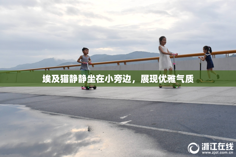 埃及猫静静坐在小旁边，展现优雅气质
