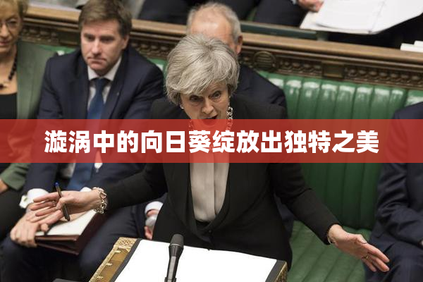 漩涡中的向日葵绽放出独特之美