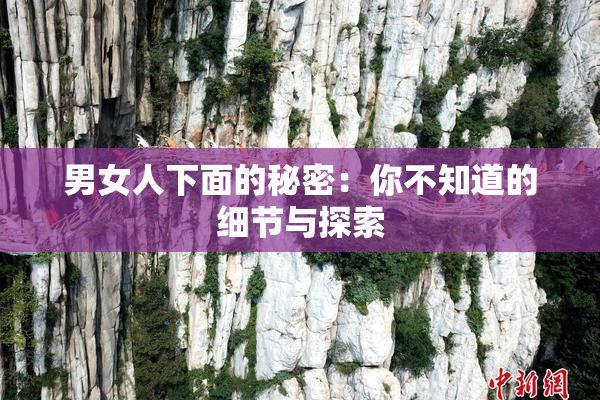 男女人下面的秘密：你不知道的细节与探索