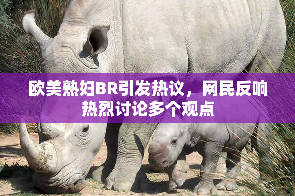 欧美熟妇BR引发热议，网民反响热烈讨论多个观点