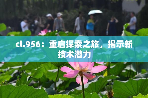 cl.956：重启探索之旅，揭示新技术潜力