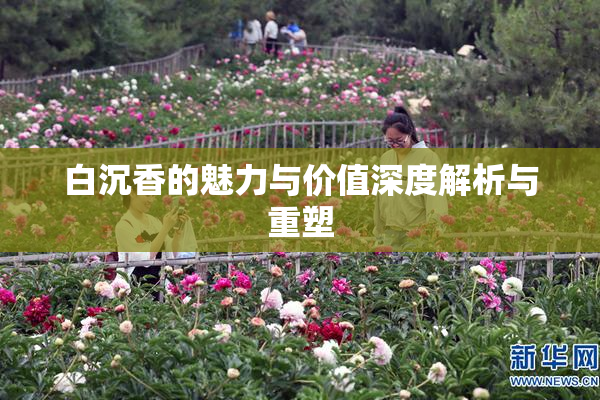 白沉香的魅力与价值深度解析与重塑