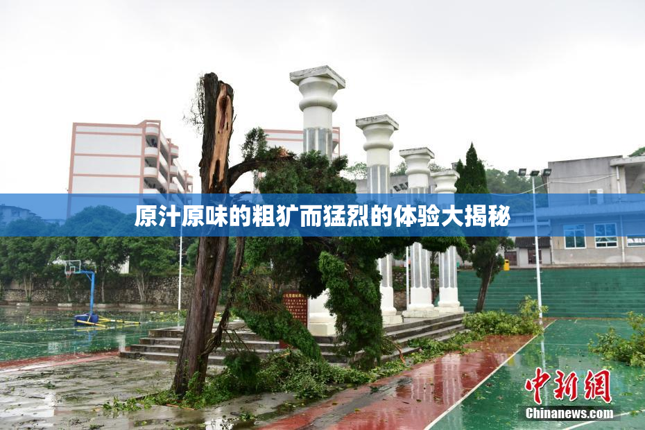 原汁原味的粗犷而猛烈的体验大揭秘