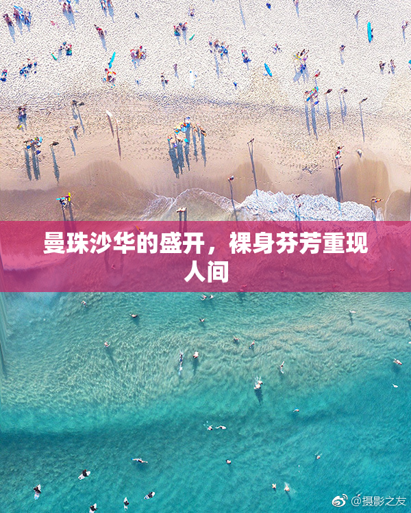 曼珠沙华的盛开，裸身芬芳重现人间
