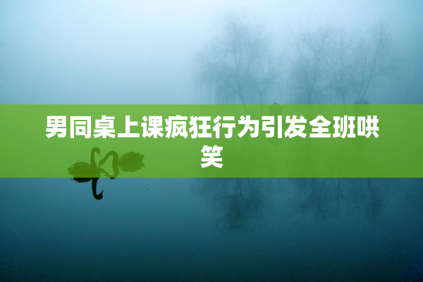 男同桌上课疯狂行为引发全班哄笑